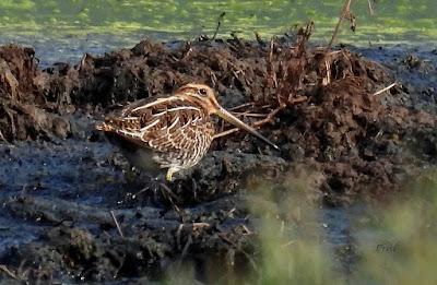 SALIDA POR SUESA (19/08/24)