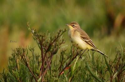 SALIDA POR SUESA (19/08/24)