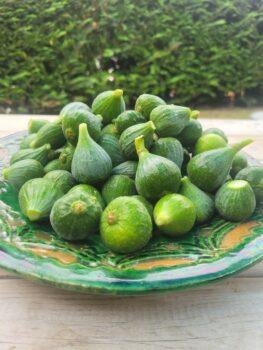 dulce de higos verdes