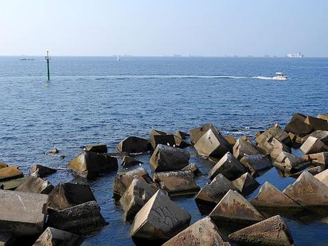 La Gaviota NF90 y la Sombra del Rey Cisne La Gaviota NF90 y la Sombra del Rey Cisne