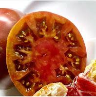 EL TOMATE DE SECANO LLEGA A MALDONADO 14 EL TOMATE DE SECANO LLEGA A MALDONADO 14