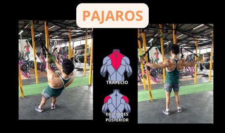 5 Ejercicios para Espalda con TRX 11 Ejercicios para espalda con TRX