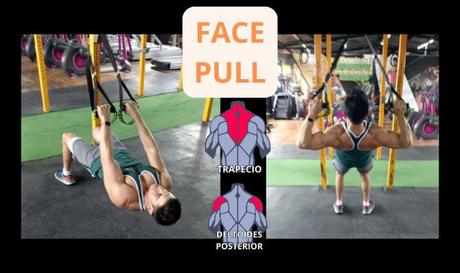 5 Ejercicios para Espalda con TRX 10 Ejercicio para espalda con TRX - Face Pull