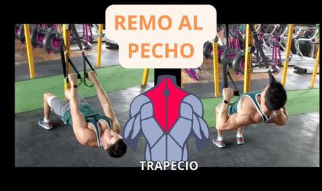 5 Ejercicios para Espalda con TRX 9 Ejercicios para espalda con TRX - Remo al pecho