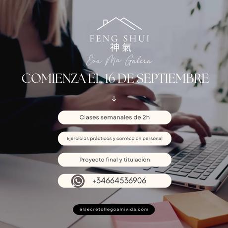 Formación Profesional de BaZi