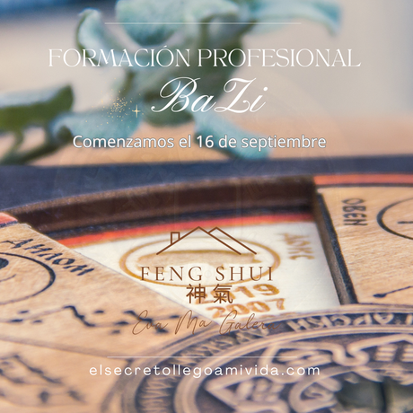Formación Profesional de BaZi