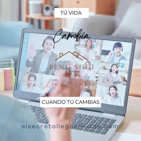 Formación Profesional de BaZi