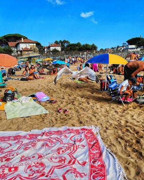 Dia de playa… 3. La Gaviota  @visitgorliz