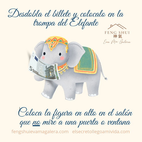 29 de Agosto Ritual Elefante de la Suerte 🍀