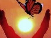 5.942 ofreces suspiro...