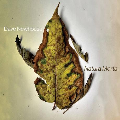 Dave Newhouse - Natura Morta (2024) Dave Newhouse - Natura Morta (2024)