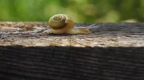 SODA V, herramienta impulsada por IA, reduce el tiempo y los costos de desarrollo de automóviles en un 90% SODA V, herramienta impulsada por IA, reduce el tiempo y los costos de desarrollo de automóviles en un 90%