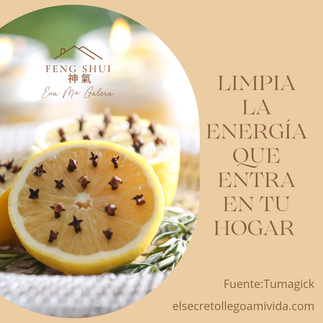 Limpieza final de mes 🍋