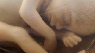 ¡Clementine es hermosa!