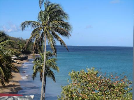 CLIMA Y COLONIALISMO JURÍDICO