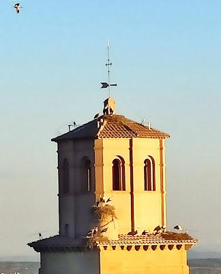 Tamarit de Llitera (Huesca)