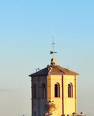 Tamarit de Llitera (Huesca)