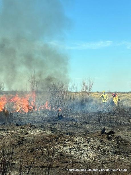 Incendio Forestal en Picún Leufú Incendio Forestal en Picún Leufú