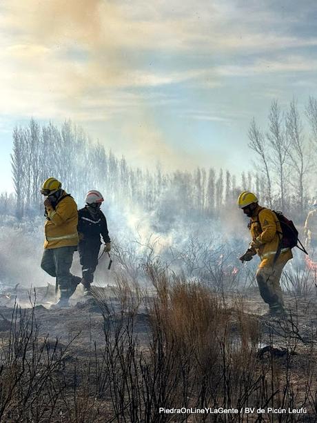 Incendio Forestal en Picún Leufú Incendio Forestal en Picún Leufú
