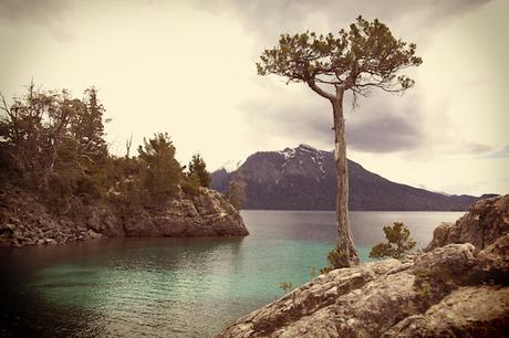 La arquitectura como herramienta de expansión global de empresas.