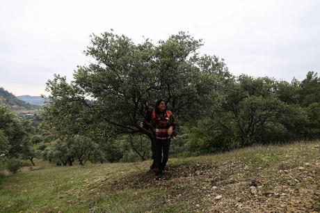 Resistencia feminismo rural en Turquía La resistencia de Dikmece: vecinas contra la expropiación