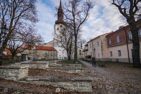 El Jardín del Obispo