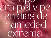 Tips productos) para maquillaje pelo días humedad extrema.