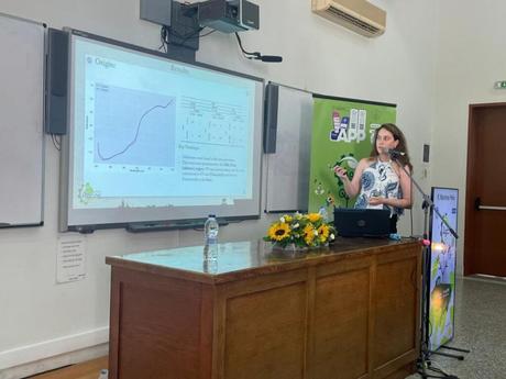 Aprobados dos proyectos del Programa Ciudad Real Activa sobre acondicionamiento de zonas en espacios más verdes