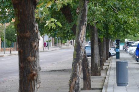 Un incendio en la cocina obliga a desalojar un restaurante en Ciudad Real