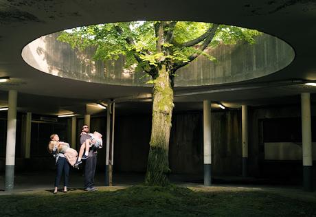 Venecia '24 - Parte 1: Construir narrativas Venecia '24 - Parte 1: Construir narrativas