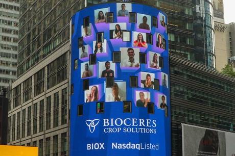 Trigo transgénico, pan con veneno y más espejos de colores Trigo transgénico, pan con veneno y más espejos de colores