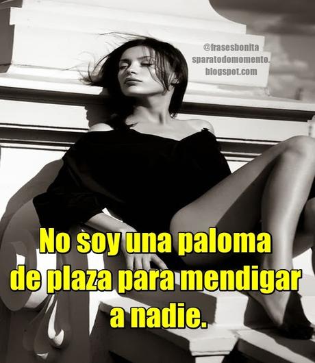 No soy una paloma de plaza para mendigar a nadie. No soy una paloma de plaza para mendigar a nadie.