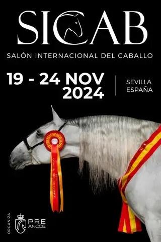 Promociona tu empresa con el programa «MARCA DOS HERMANAS»