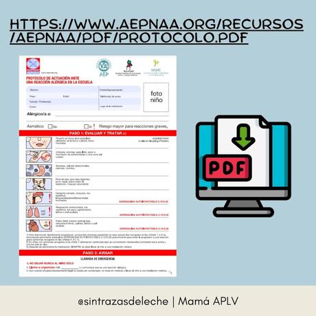 El Primer Año de Colegio con Alergias El Primer Año de Colegio con Alergias