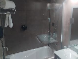 GRAN HOTEL LUNA DE GRANADA (GRANADA)