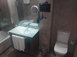 GRAN HOTEL LUNA DE GRANADA (GRANADA)