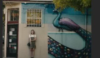 Lady Bird. Está bien querer lo que podría no ser. Lady Bird. Está bien querer lo que podría no ser.