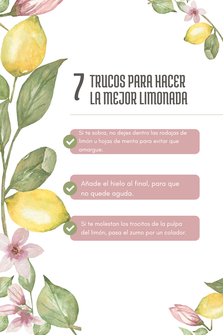 limonada-casera-con-tres-ingredientes