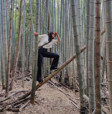 Los cubosaurios fantasmales de Feefal