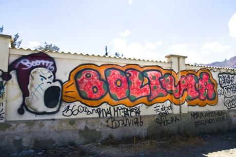 Bosques, mercados de carbono y geopolítica del cambio climático en Bolivia