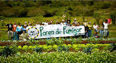 La avanzada transgénica