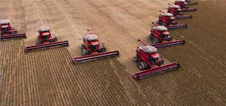 La avanzada transgénica