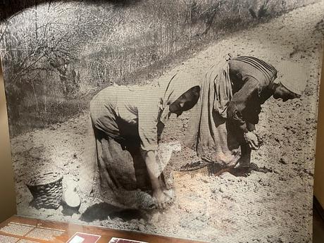 Zugarramurdi Zugarramurdi