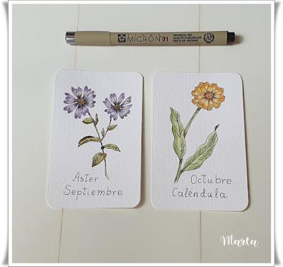 NUEVAS ACUARELAS Y CUADRO