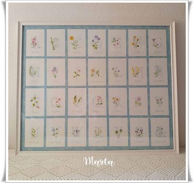 NUEVAS ACUARELAS Y CUADRO