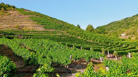 RIBEIRA SACRA. Primera Parte RIBEIRA SACRA. Primera Parte