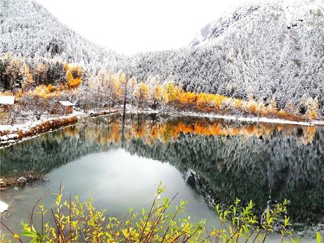 Valle Bipenggou de Chengdu