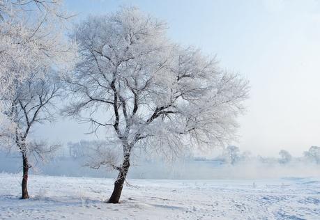 Escarcha de Jilin