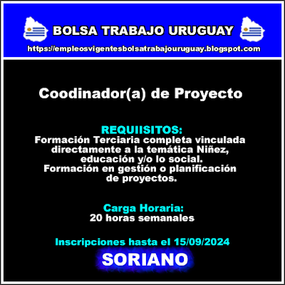 Coodinador(a) de Proyecto