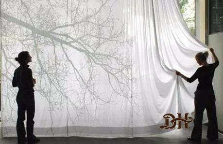 - Esperando el Otoño 🍁